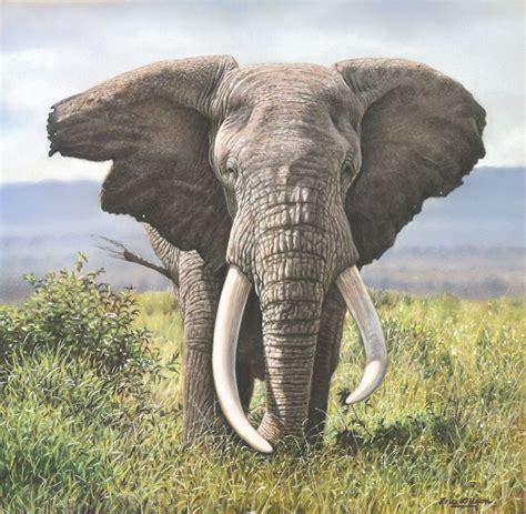 Elephant Dusting By Eric Wilson Amazing Hyper Realist Painter Hyper