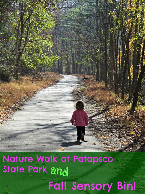 Patapsco State Park Nature Walk And Fall Sensory Bin