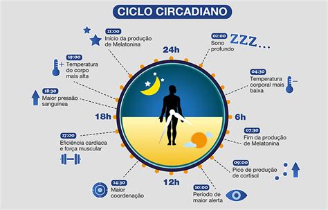 Ciclo circadiano é o período em que o relógio interno mantém as atividades e os processos