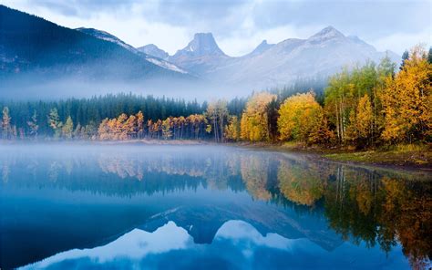 The Autumn Fog Forest Lake Morning Wallpaper Nature And Landscape