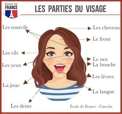 French Language Basics, French Language Lessons, French Language ...