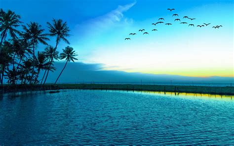 Wallpaper Sunlight Landscape Birds Sea Bay Lake