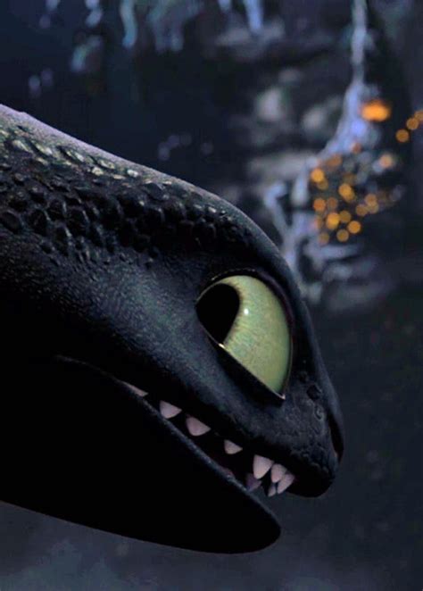 Toothless Toothless The Dragon Photo 33096188 Fanpop