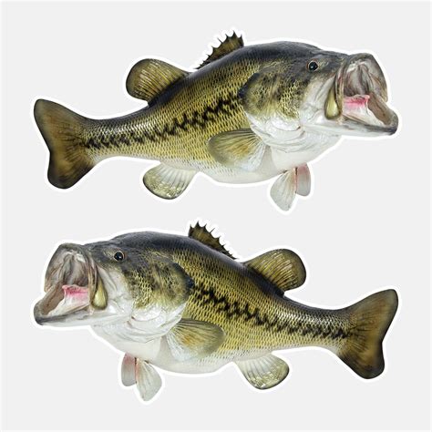 Largemouth Bass Stickers 5 8 14