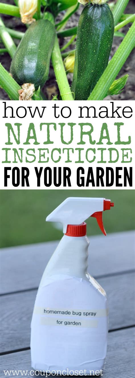 The soap flakes help the mixture stick to the plants, so ensure you rinse your fruit, veggies, and herbs well before eating. How to make Natural Pesticides- Homemade Insecticide