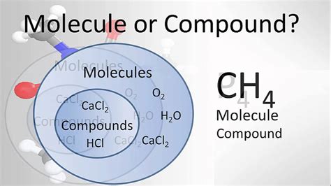 Molecule Vs Compound Examples And Practice Youtube