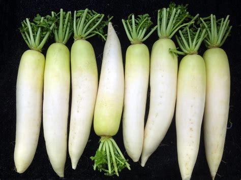 There are 6 daikon and radish recipes on very good recipes. Why You Should Be Cooking (Yes, Cooking) Daikon Radishes ...