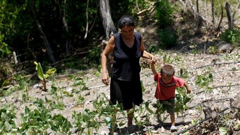 Guatemala Families Struggle For Food In Central American Drought Bbc News