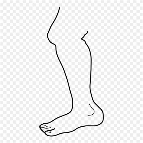 Clipart Leg Ankle Pictures On Cliparts Pub 2020 🔝
