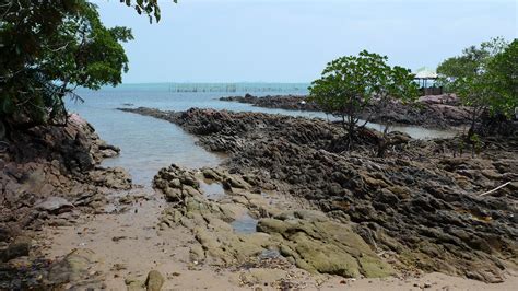 Pantai Galang Mas Harga Tiket Foto Lokasi Fasilitas Dan Spot