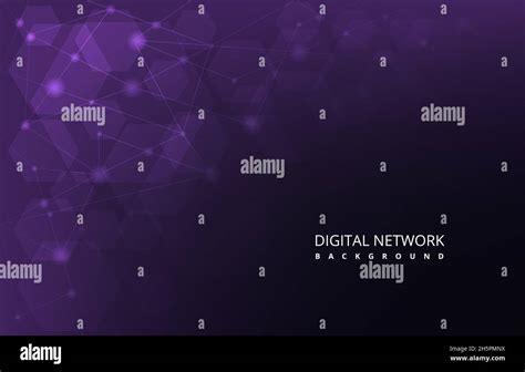 Purple Hexagon Digital Network Connection Internet Technology