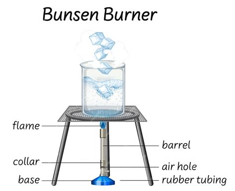 Free Vector Science Bunsen Burner Diagram