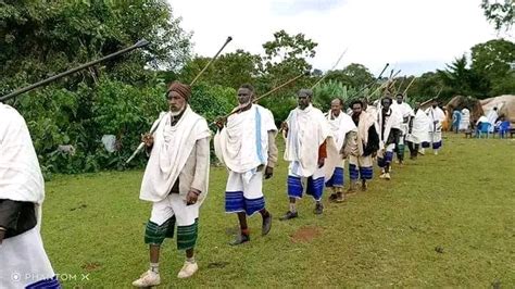 The Guji Oromo Gada System A Harmonious Blend Of Tradition And