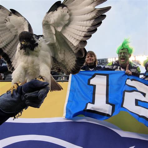 Taima the Hawk: Everything You Need to Know About Seahawks' Feathered ...