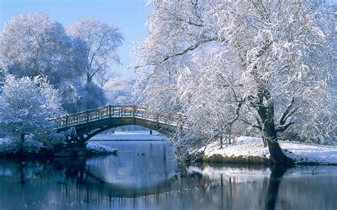 Bridge Over A Pond In The Winter Johannapark Leipzig Germany Hd