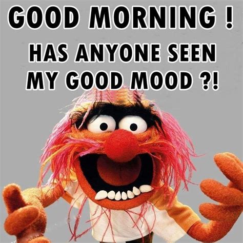 Pin By Glenda Williams On Funny Funny Good Morning Images Funny Good Morning Quotes Morning
