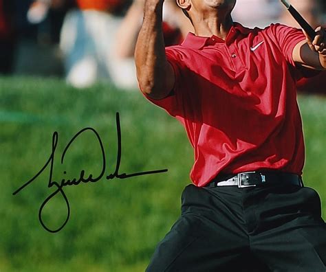 Tiger Woods Autograph