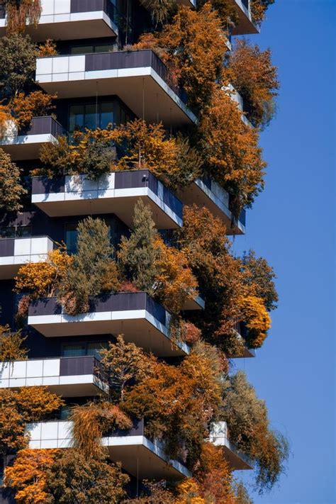 Bosco Verticale Autumn Stock Photos Free And Royalty Free Stock Photos