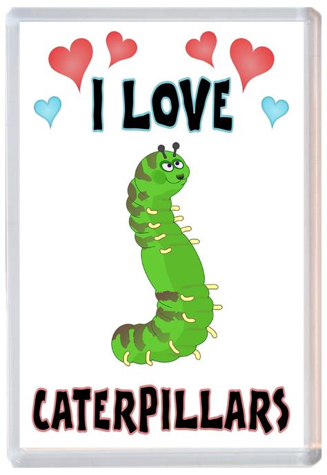 I Love Caterpillars Jumbo Fridge Magnet Souvenir T Present Baked