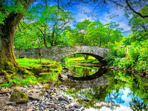 Summer Landscape Stone Mostmala Calm River Stones Trees With Green