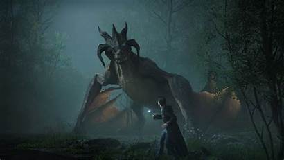Hogwarts Wallpapers Legacy Screenshots Screenshot Dragon