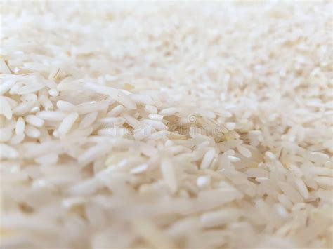 White Rice Grains Stock Image Image Of Textures Industry 94825589