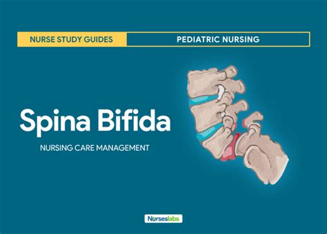 Spina Bifida Pediatric Nursing Care Management And Study Guide