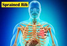 The pain is under my ribs, front and back and is also in my right shoulder. Rib Cartilage Injury: Treatment|Causes|Symptoms|Diagnosis
