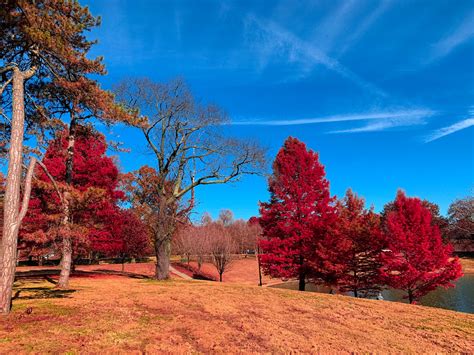 7 Awesome Parks To Enjoy The Best Fall Colors In St Louis