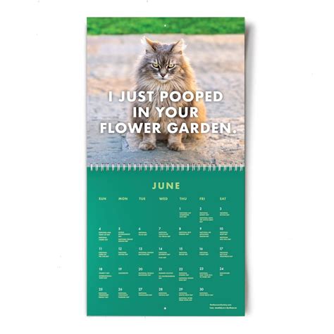 Funny Cat Calendar 2023 Printable Word Searches