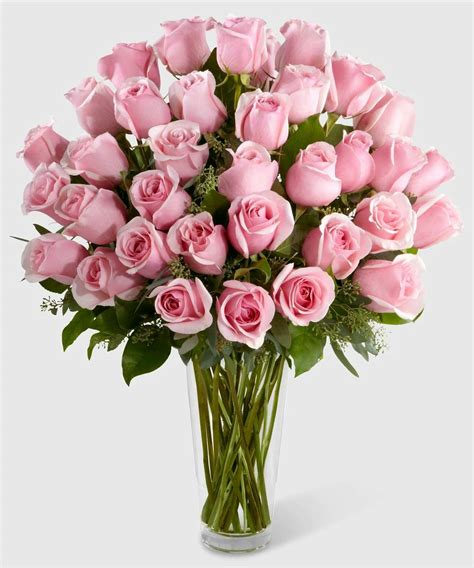 Long Stem Pink Roses Sudbury Rose Delivery By The Frugal Flower