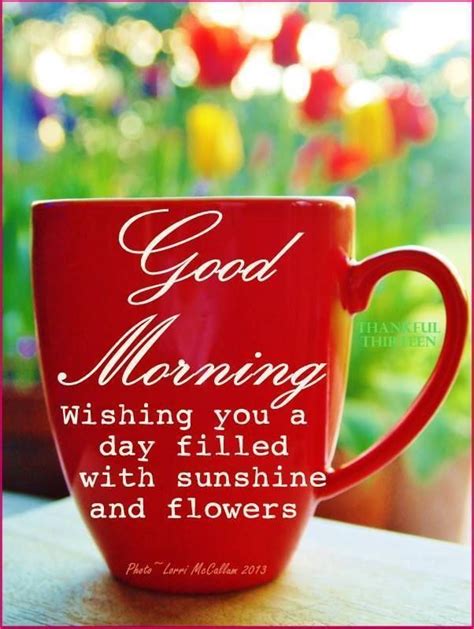 Good Morning Wishing You A Day Filled With Sunshine And Flowers Pictures Photos And Images