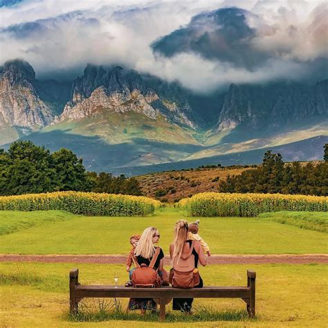 Vergelegen Wine Estate: A Pioneering Example of Eco-friendly Winemaking