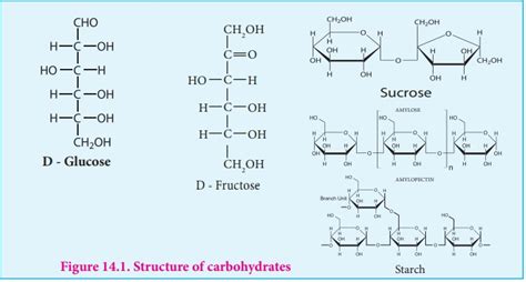 Carbohydrates Structure Configuration Classification Biomolecules