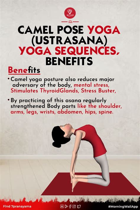 Ustrasana Camel Pose Steps Factshow To Do Benefits Yoga Facts