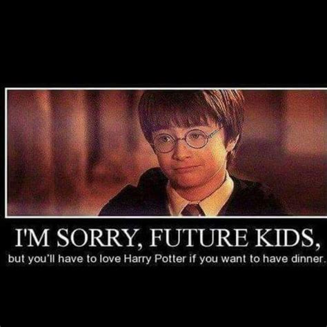 Harry Potter Memes 017 Sorry Kids Dinner Harry Potter