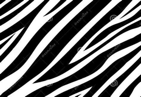 9 Zebra Patterns Psd Vector Eps Png Format Download