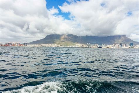 Cape Town Waterfront And Sunset Champagne Cruise In Cape Town