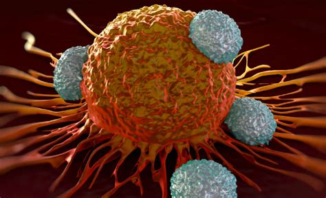 Immunotherapy And Cancer What You Need To Know