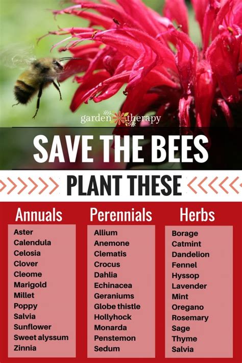 Plants And Tips To Create A Bee Friendly Garden Garden