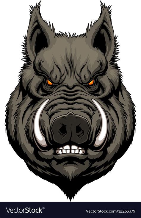 Angry Boar Head Mascot On The White Background Download A Free Preview
