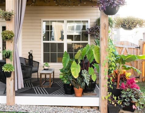 Small Townhouse Patio Ideas And My Gorgeous Tiny Backyard