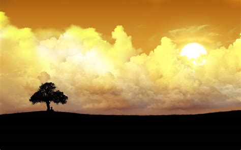 Free Download Wallpapers Lonely Tree Photography Desktop Wallpapers