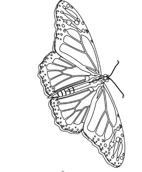 Cool Coloring Pages Picture 10 550x669 Picture Butterfly Coloring