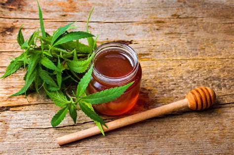 Find Your Bliss With Our Cannabis Infused Honey Recipe