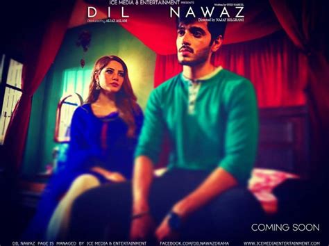 Dil Nawaz A Plus Drama Cast Timings And Schedule