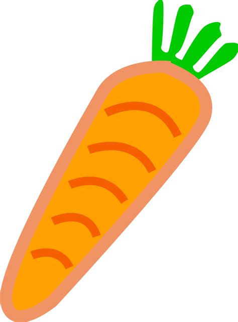 Carrot Free Stock Photo Illustration Of An Orange Carrot 16517