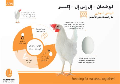 النشرات علمية نظام التسكين على الأقفاص Lohmann Breeders