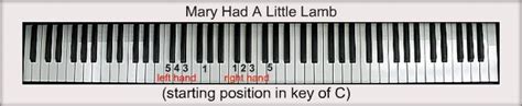 These chords can't be simplifiedsimplify chords. Mary Had A Little Lamb For Piano: Notes & Fingerings