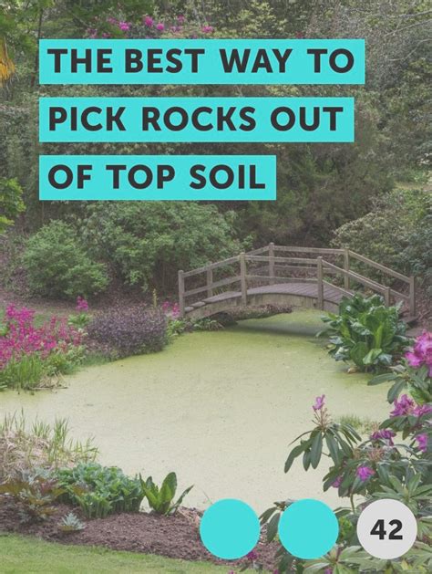 46 Ways To Deal With Rocky Soil On Your Garden Landscape Home Decor Ideas